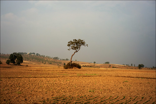 sky tree nature field rural landscape 50mm countryside burma stupa myanmar shanstate heho