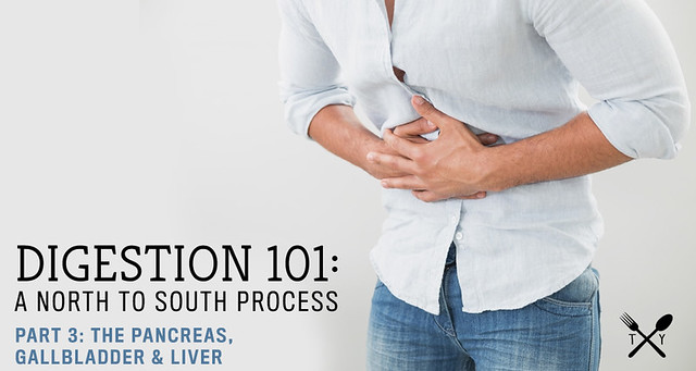 Digestion 101: A North to South Process // Part 3: The Accessory organs, Pancreas, Gallbladder and Liver