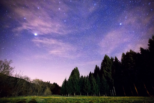 sky nature pine night forest star leo lion explore sirius jupiter greeen vosges constellation
