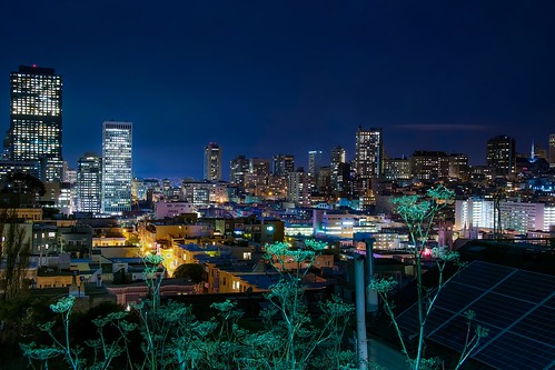 sanfrancisco california city longexposure travel night cityscape view bluehour nikond5300