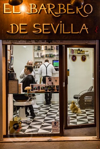 25681656044 8b0e7e5c4d - Seville Jan 2016 (10) 104 - The Barber of Seville on the evening shift, it was quite late when I took this.
