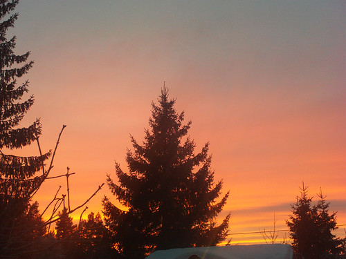 sunset colors warm spruce dalarna falun solnedgång uggelviken