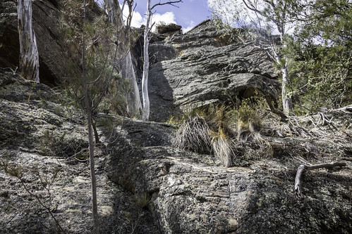 bushwalking tasmania krismccracken