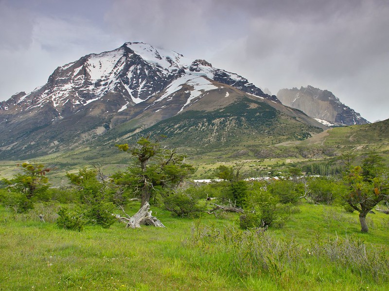 Del Paine a Puerto Natales - Por el sur del mundo. CHILE (4)