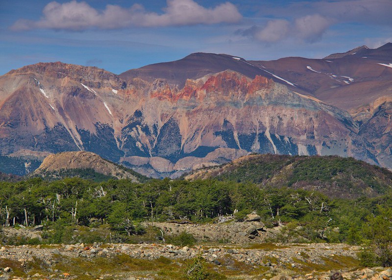 Por la Patagonia ARGENTINA - Blogs de Argentina - El Chaltén: El Valle Eléctrico (21)