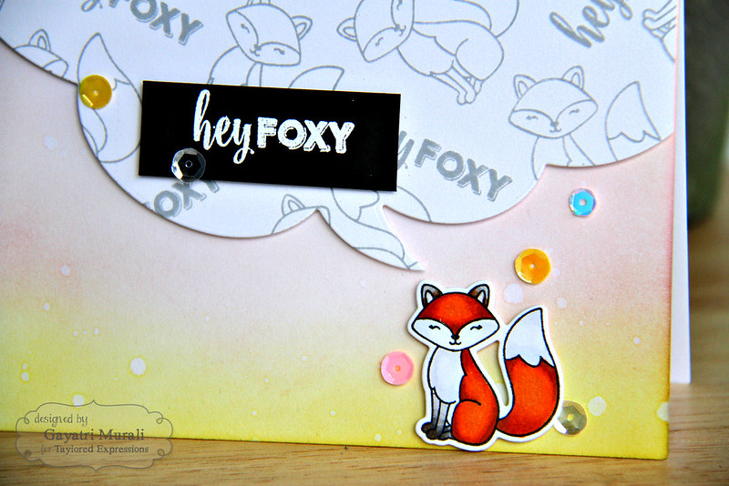 Hey Foxy closeup
