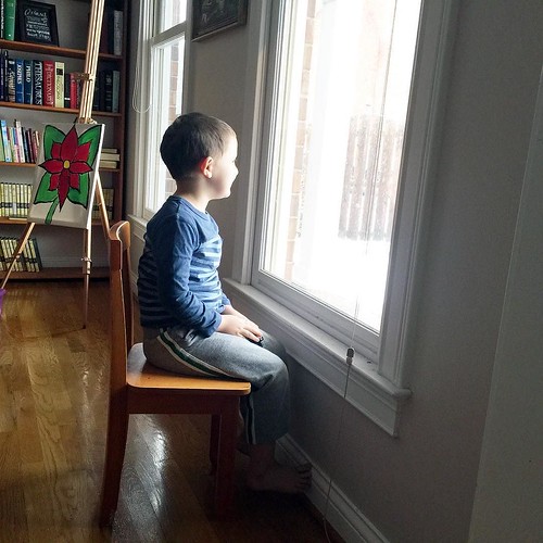 Watching the snow. Hoping to knock out our school this morning so we (they) can go out and play after lunch when we have some decent accumulation. ❄️