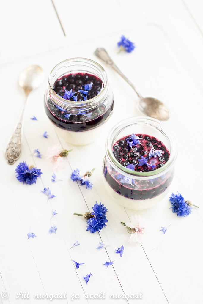 panna cotta with blueberries