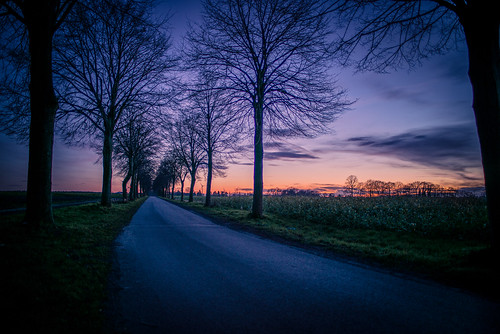 street leica blue trees light sunset germany countryside hour bluehour münster m240