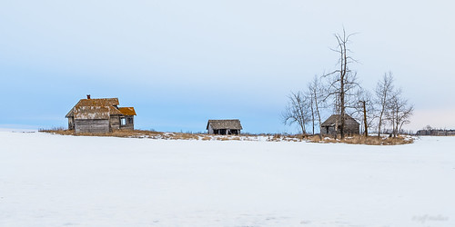 ca winter canada abandoned barn farm alberta homestead derelict outbuildings thorhild