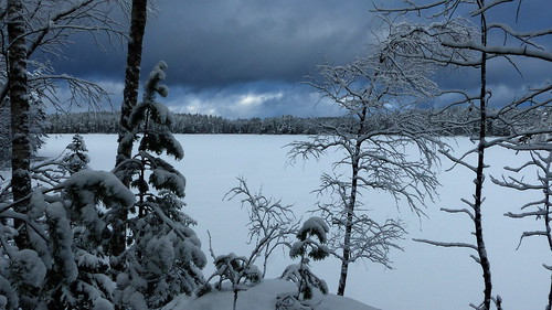 winter sky lake snow pine forest espoo finland geotagged nationalpark february fin 2016 uusimaa nyland esbo velskola ruuhijärvi nuuksionationalpark nuuksionkansallispuisto 201602 vällskog 20160213 geo:lat=6031014907 geo:lon=2457289697