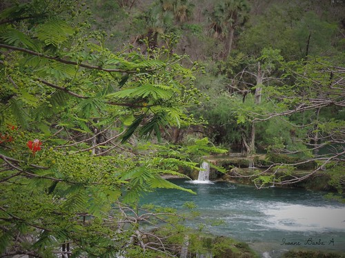 nature river mexico waterfall san mexique luis meco cascada huasteca potosi naranjo potosina