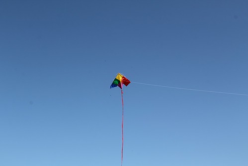 Kite Flying at Legacy Park