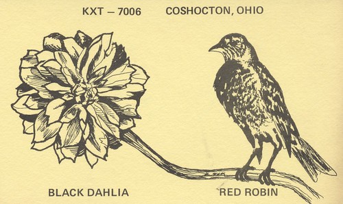 flower bird robin vintage qsl cb cbradio qslcard