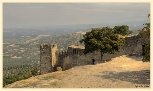 españa castle landscape spain olive paisaje muralla castillo jaén olivo sabiote nikond5100