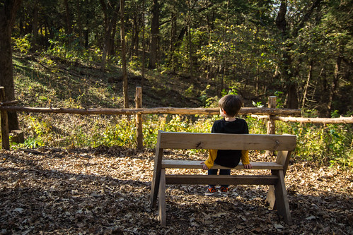 leaves forest campfontanelle thinking green bench fall boy 2015 nickerson nebraska unitedstates us a