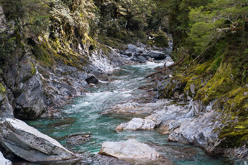 newzealand sunlight river bush rocks shade nz southisland mtaspiringnationalpark bluepools beechforest haastrd makarorarivertributary