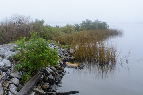 louisiana coastal wetlands marsh gulfcoast lafourcheparish leeville nikond7100 ilobsterit