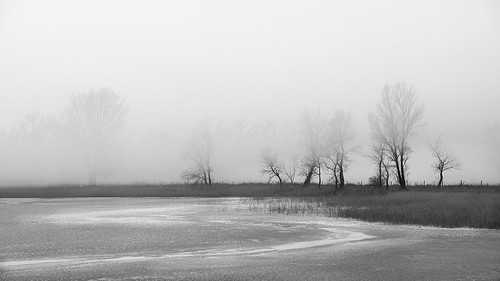 blackandwhite bw lake blur tree nature fog landscape geotagged noiretblanc outdoor nopeople shore landschaft baum xf schwarzweis geo:lat=4781879208 geo:lon=1679590702