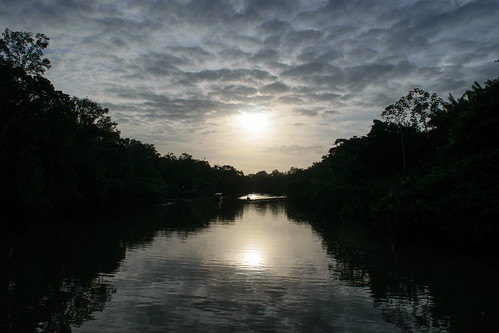 reflection nature brasil forest sunrise river landscape riverscape amazonforest