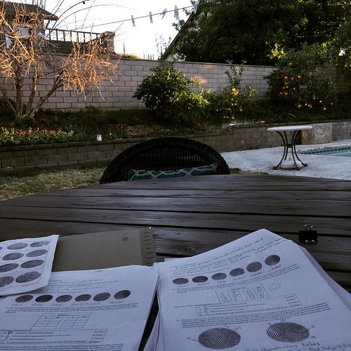 My view: grading in the backyard while most Americans watch the super bowl. I can tell that some team has made a good play when I hear hootin' and hollerin' from neighbor's houses!