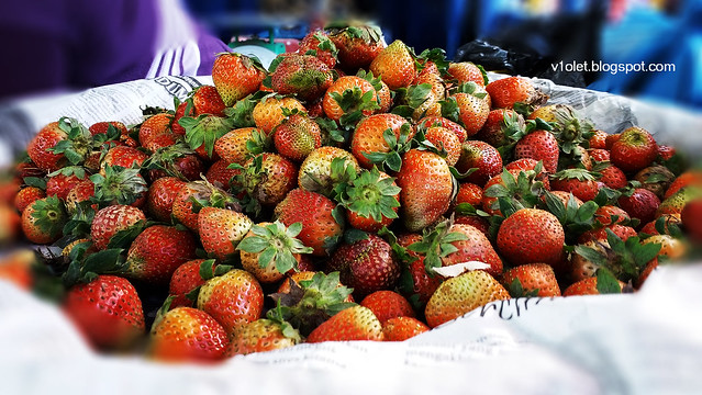 20150618_162128 berastagi strawberry1
