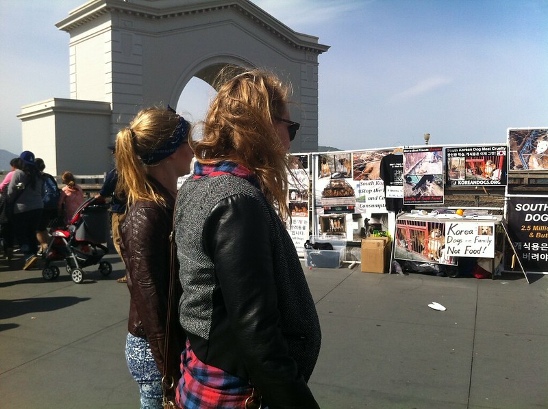 Leafleting and Informational Event on South Korean Dog Meat Trade – March 27, 2016 – San Francisco, Fisherman’s Wharf