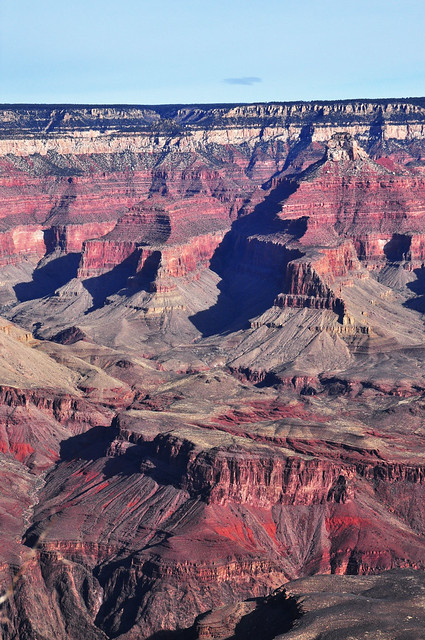 The Grand Canyon by Liz Cantu Davenport