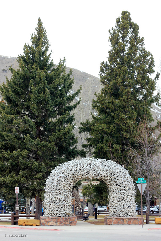 Hi Sugarplum | Jackson Hole, Wyoming