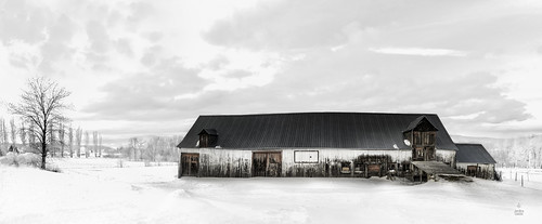 winter snow barn photoshop québec contraste neige grange lightroom winterlandscape autopano paysagedhiver quebeclandscape nikkor2470mm paysagequébécois nikond800e wacomintuospro