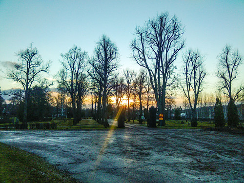 winter cemetery sunrise dawn linden dalarna falun lind soluppgång kyrkogård tilia tuja bergslagen norslund cordota
