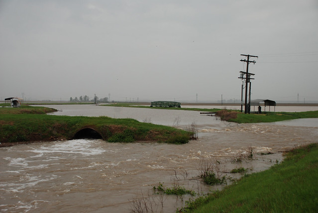 Flood Prairie 2