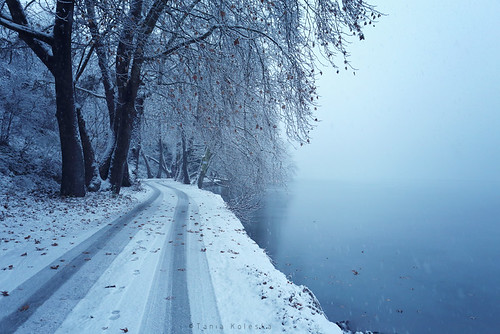 road street trees lake snow cold color tree ice nature colors fog forest canon landscape photography colorful snowy foggy streetphotography romantic timeless macedonian kastoria landscapephotography icelake makedonia canonef1740mmf40lusm romanticphotography μακεδονια macedoniagreece canoneos6d kardpostal taniaphotography taniakoleska