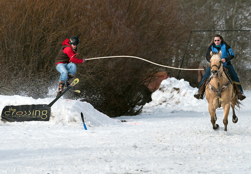 winter horses sport montana mt wisdom winterfest bigholevalley skioring