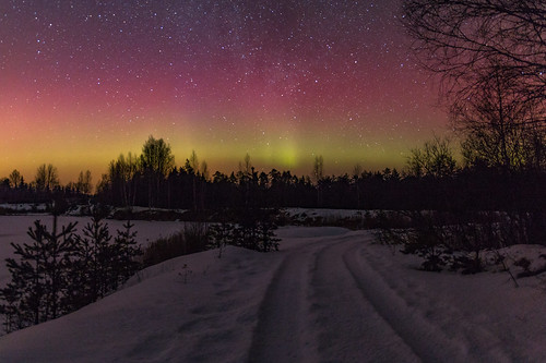 Northern Lights, Estonia