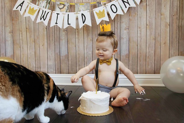 Finn's 1st Birthday