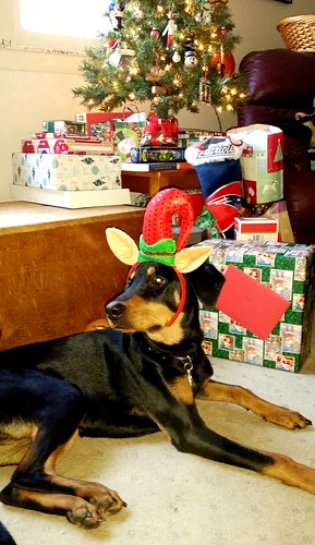 Doberman Puppy First Christmas Tree - Lapdog Creations