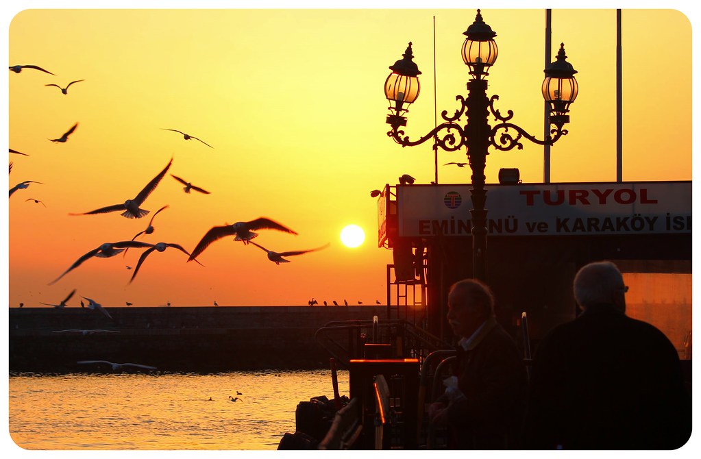 istanbul sunset birds