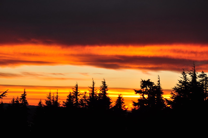 Timberline sunset