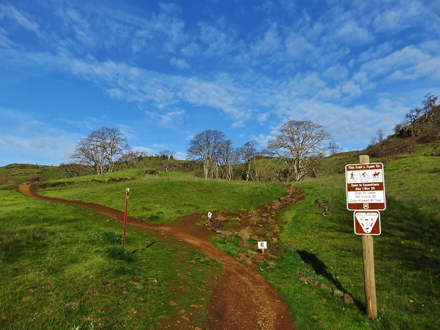Labyrinth Trail