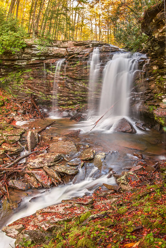 longexposure autumn trees color tree fall nature wet water leaves vertical stone forest landscape outdoors waterfall rocks colorful day nobody falls foliage westvirginia lower rectangle lowangle hillscreek richwood monongahelanationalforest pocahontascounty