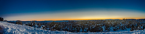 trees sunset arizona panorama snow tree phoenix forest landscape colorful flagstaff blizzard hdr snowcovered