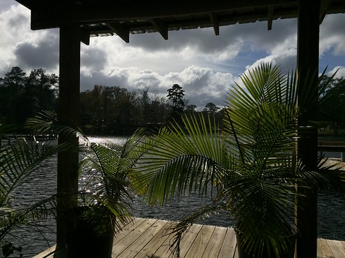lake palms dock view palm talquin