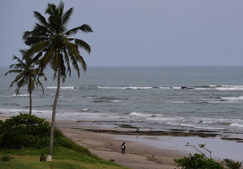 ocean africa boy tree men beach sports club golf near sandy palm atlantic course ghana take combers takoradi