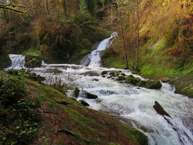 Sweet Creek and Annice Falls