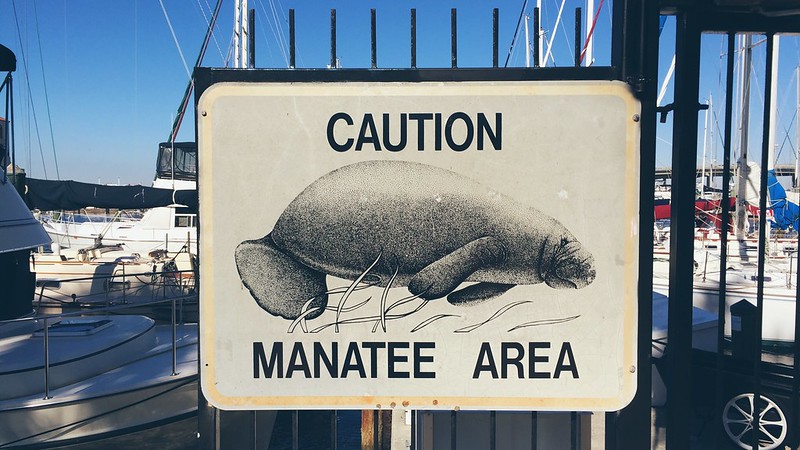 caution: manatee area.