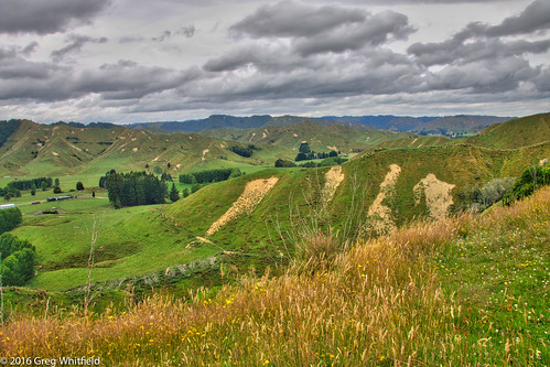 newzealand landscape hdr