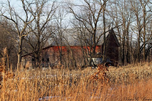 abandoned nature barn rural countryside rustic structure solitary