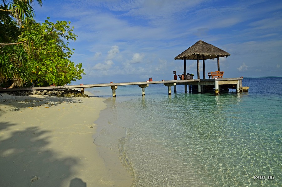 SOÑANDO DESPIERTO EN MALDIVAS - Blogs de Maldivas - RECORRIENDO LA ISLA (22)