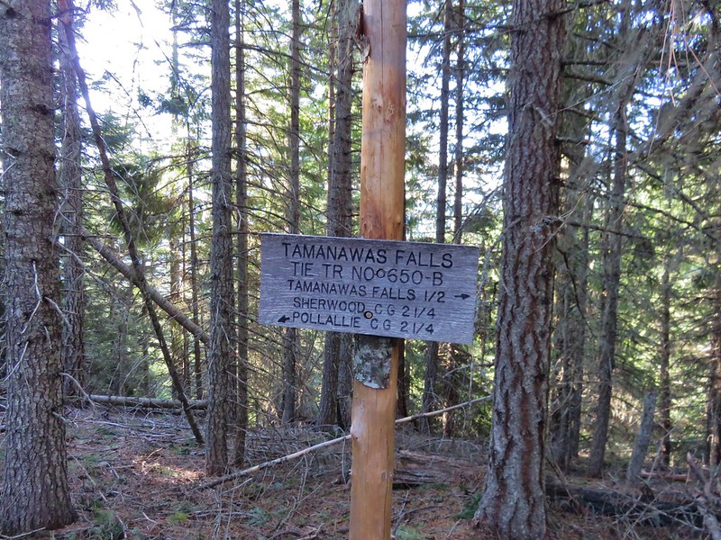 Sign at the junction with the Elk Meadows Trail